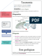 Guia continuidad 2