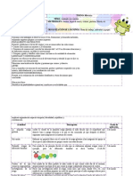 Plan Preescolar Sentido Numérico