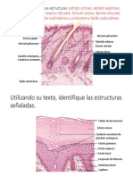 Lab Histo 1