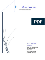 Structure and Function of Mitochondria