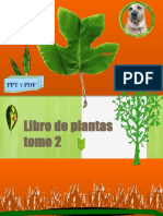 Libro de Plantas Tomo A1