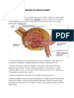 Patologia do Sistema Urinário