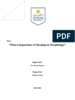 What Is Importance of Meaning in Morphology?: Essay