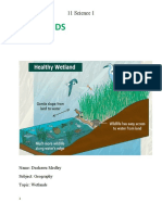 Wetlands: 11 Science 1