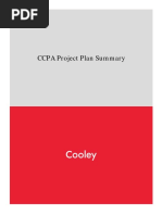 CCPA Project Plan Summary