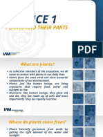 Science 1 (Week 12)