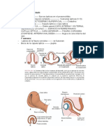 Embriología Del Ojo