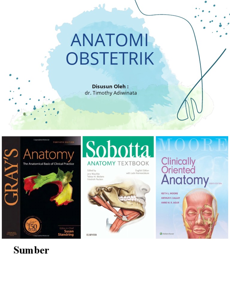Anatomi Abdomen dan Pelvis Wanita | PDF | Ilmu Sosial | Kesehatan Holistik