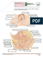 Activity Review of Male and Female Anatomy