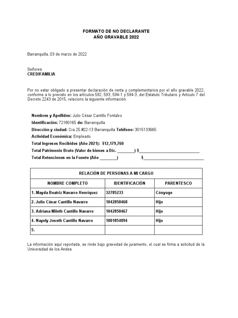 No Declarante de Renta PDF