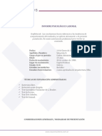 INFORME PSICOLÓGICO LABORAL - PDF Descargar Libre