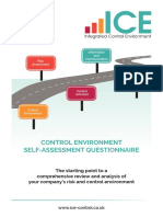 Control Environment Self-Assessment