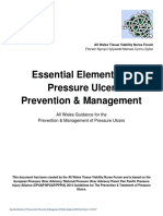 PDF Essential Elements of Pressure Ulcer Prevention Management All Wales Guidance 2014 Final Version