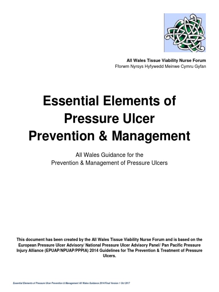PDF Essential Elements of Pressure Ulcer Prevention Management All ...