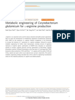 Metabolic Engineering of C. glutamicum for L-Arginine Production