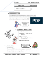 II BIM - BIOLOG - 2do. Año - Guía 3- Reino Plantae