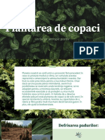 Plantarea de Copaci-Factor Antropic