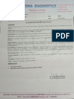 Scan Report PDF