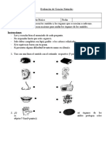 Prueba Los Sentidos