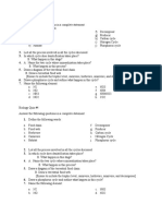 Biology Quiz on Food Chains, Cycles