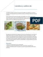 Vdocuments - MX - Manual de Siembra y Cultivo de Lithops