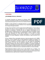 2008.02 Guanoco - 22 - Se Enrumba PDVSA Al Fracaso