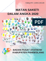 Kecamatan Saketi Dalam Angka 2020