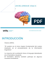 Tema 2 Clase 3. BASES CEREBRALES DEL LENGUAJE