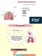 Anatomie Respirator