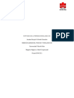 Formato Tareasemana4 - Jonatan Ezequiel Schwab Gonzalez RIESGOS BIOLOGICOS