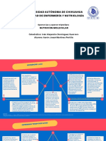 Operon Lac y Operon Triptofano