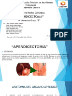 APENDICECTOMIA 