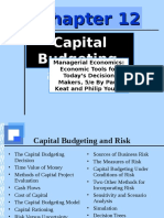 Capital Budgeting and Risk
