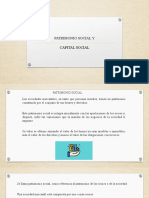 Patrimonio Social y Capital Social