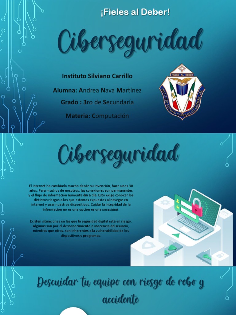 Riesgos de Ciberseguridad en Internet | PDF | Contraseña | La seguridad ...