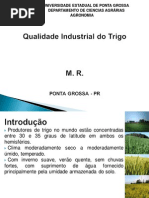 Qualidade Industrial Do Trigo