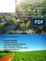 Produção, situação mundial, nacional, estadual e regional – variações de preços nos últimos anos e perspectivas imediatas e futuras – biodiesel - Cópia