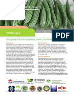 Ampalaya: Farmer Factsheet - Ipm