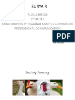 Poultry Farming Process