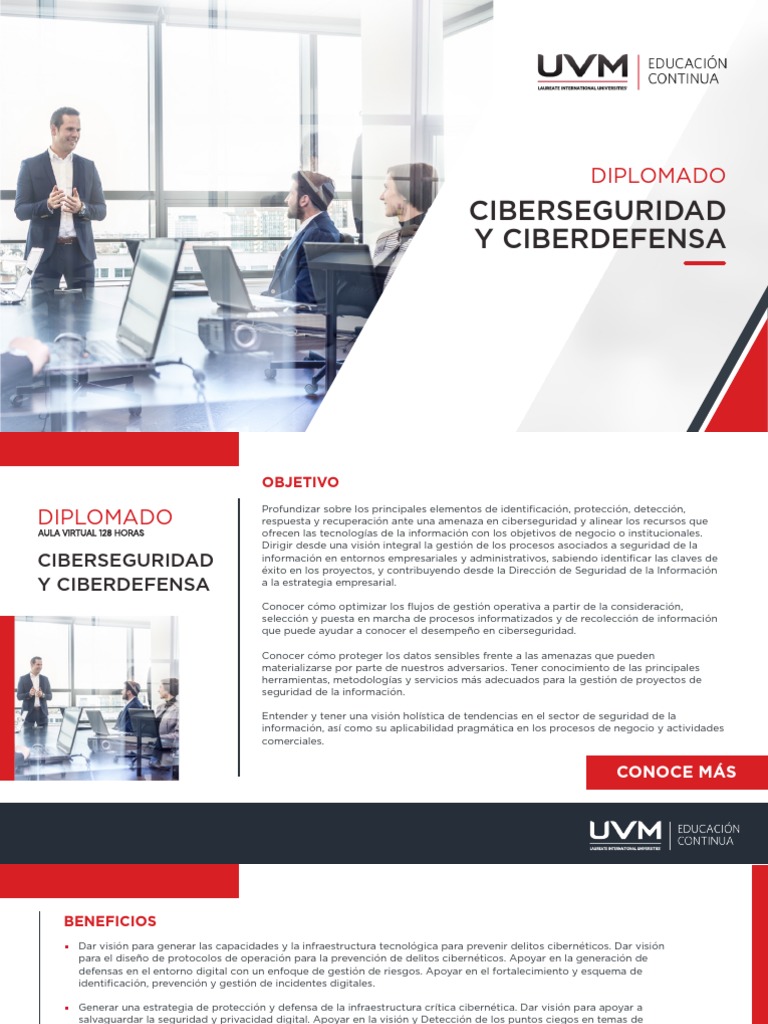 Diplomado en Ciberseguridad Empresarial | PDF | Seguridad | La ...