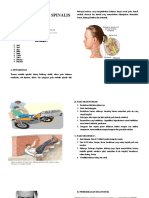 trauma medula spi