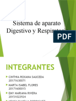 Aparatos Digestivos