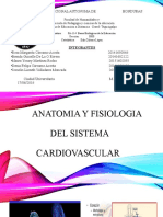 Anatomía y fisiología del sistema cardiovascular