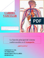 Sistema Cardiovasc