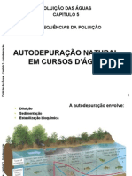 Autodepuração das águas: equações de Streeter-Phelps