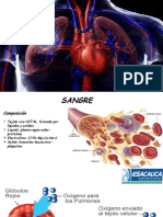 Sist. Cardiopulmonar Digestivo Urinario Reproductor