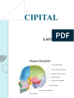 Exposición Occipital