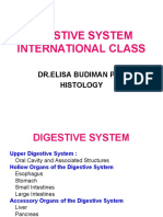 Digestive System International Class: DR - Elisa Budiman PHK Histology