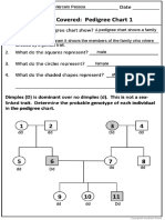 Pedigree Chart 1