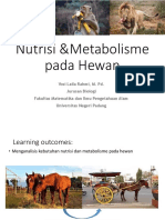 Nutrisi Dan Metabolisme Pada Hewan 2